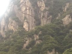 -陕西省红河谷森林公园