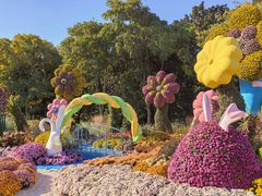 -上海共青森林公园