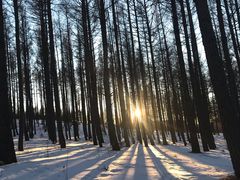 -塞罕坝国家级自然保护区