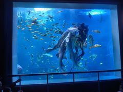 -太平洋海底世界