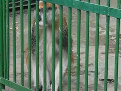 -秦皇岛野生动物园