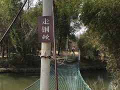 -溱湖国家湿地公园