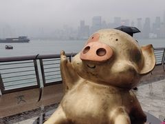 -星光大道