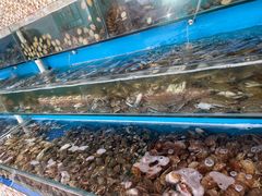 -港畔赶海蒸汽海鲜烧烤自助(仙螺岛店)