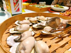 北海道生蚝原味蒸-新海渔港·胶东海鲜家常菜·家宴(奥体中心店)