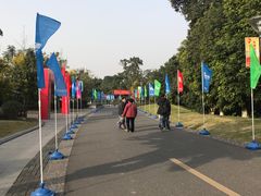 -张坝桂圆林公园