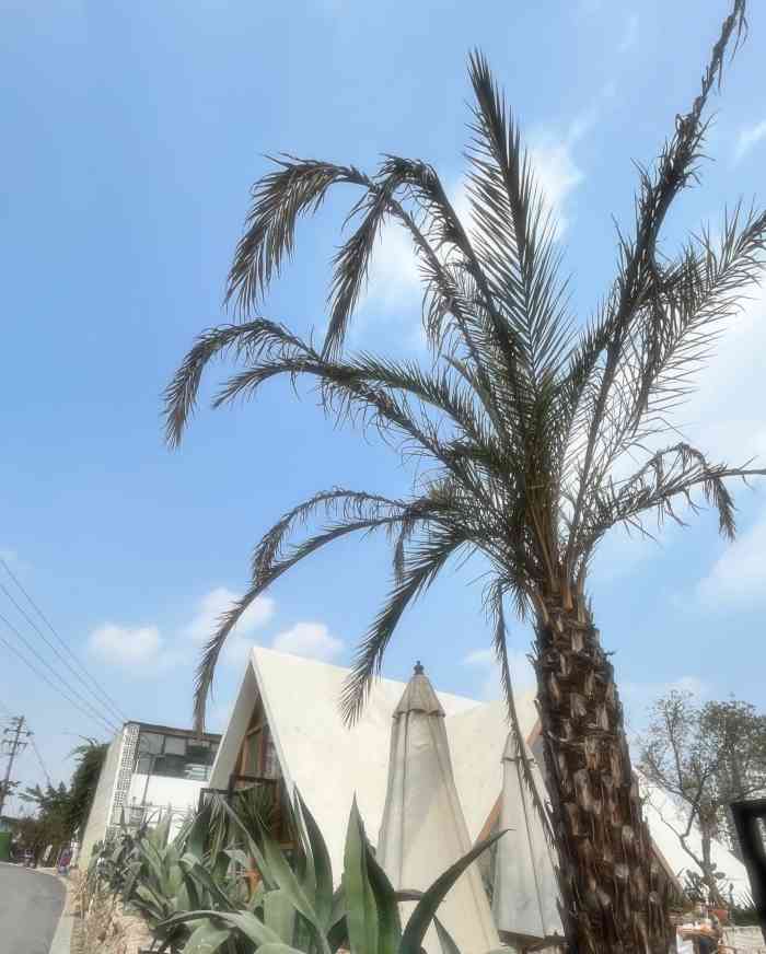 三圣花乡旅游区-"貌似是第三次去三圣乡,花乡农居人还真不少.