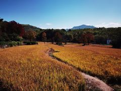 -塔川景区