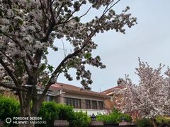 -天津五大道文化旅游区