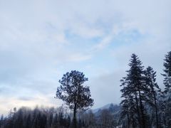 -硗碛藏寨·神木垒景区