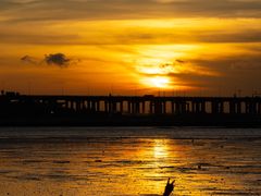 -宝安西湾红树林湿地公园