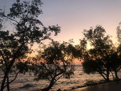 -宝安西湾红树林湿地公园