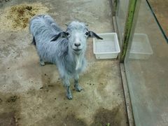 -太奥幻太奇海洋馆