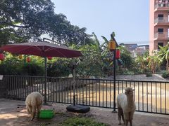 -园林美食城·本土农家菜(杨和镇店)