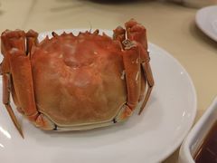 -王宝和酒家(黄浦店)