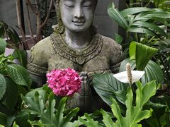 -谷咖啡·鲜花绿植花园餐厅