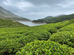 -嵛山岛