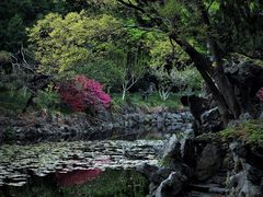 -叶家花园