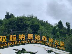 -西双版纳原始森林公园