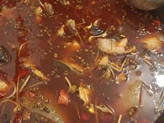 -仔耳朵冷锅鱼蛙芋儿鸡(莲花东路店)