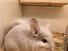 -龙猫仔乐园(惠福东路店)