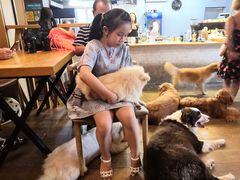 -萌喵咖啡屋(人民东路4号口M16商铺店)