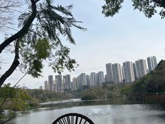 -重庆彩云湖湿地公园