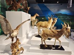 -中国湿地博物馆
