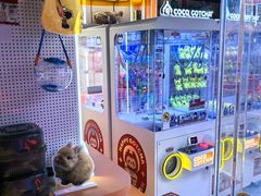 -可爱抓 COCO  GOTCHA(天津鹏欣水游城店)