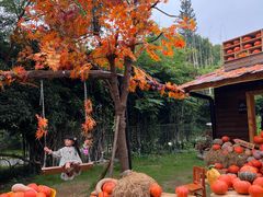 -HERRE·FARM 赫尔露营农场·团建聚会包场