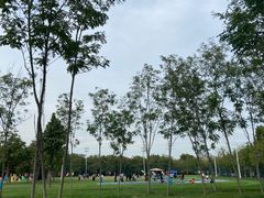 -老君堂公园