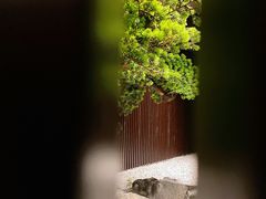 -金光华广场