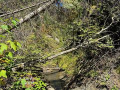 -峡谷浮石林景区
