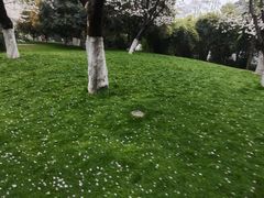 -堤角公园