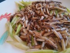 蟹柳芦笋-新光酒家·河豚·海鲜·蟹料理(浦东店)
