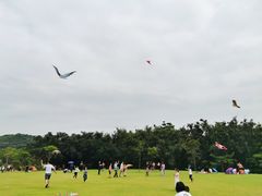 -大屏嶂森林公园