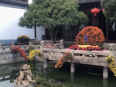 -上海醉白池公园