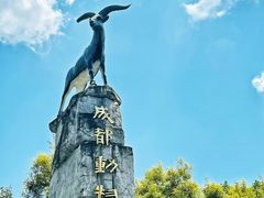 -成都动物园