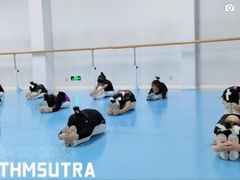 -西安小天鹅艺术团(曲江Alice店)