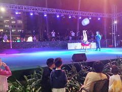-渔家火锅·海鲜自助餐·演艺(亚龙湾天域酒店)