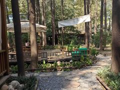 -林间山庄