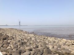 -上海吴淞炮台湾国家湿地公园