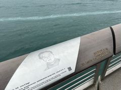 -星光大道