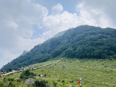 -白草畔自然风景区