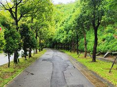 -红花湖景区