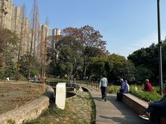 -成都市活水公园