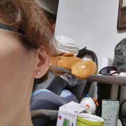-艺耳美专业穿耳洞打耳洞穿孔
