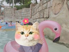 -重庆海昌加勒比海水世界