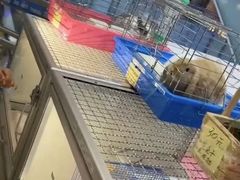 -鹏欣水游城