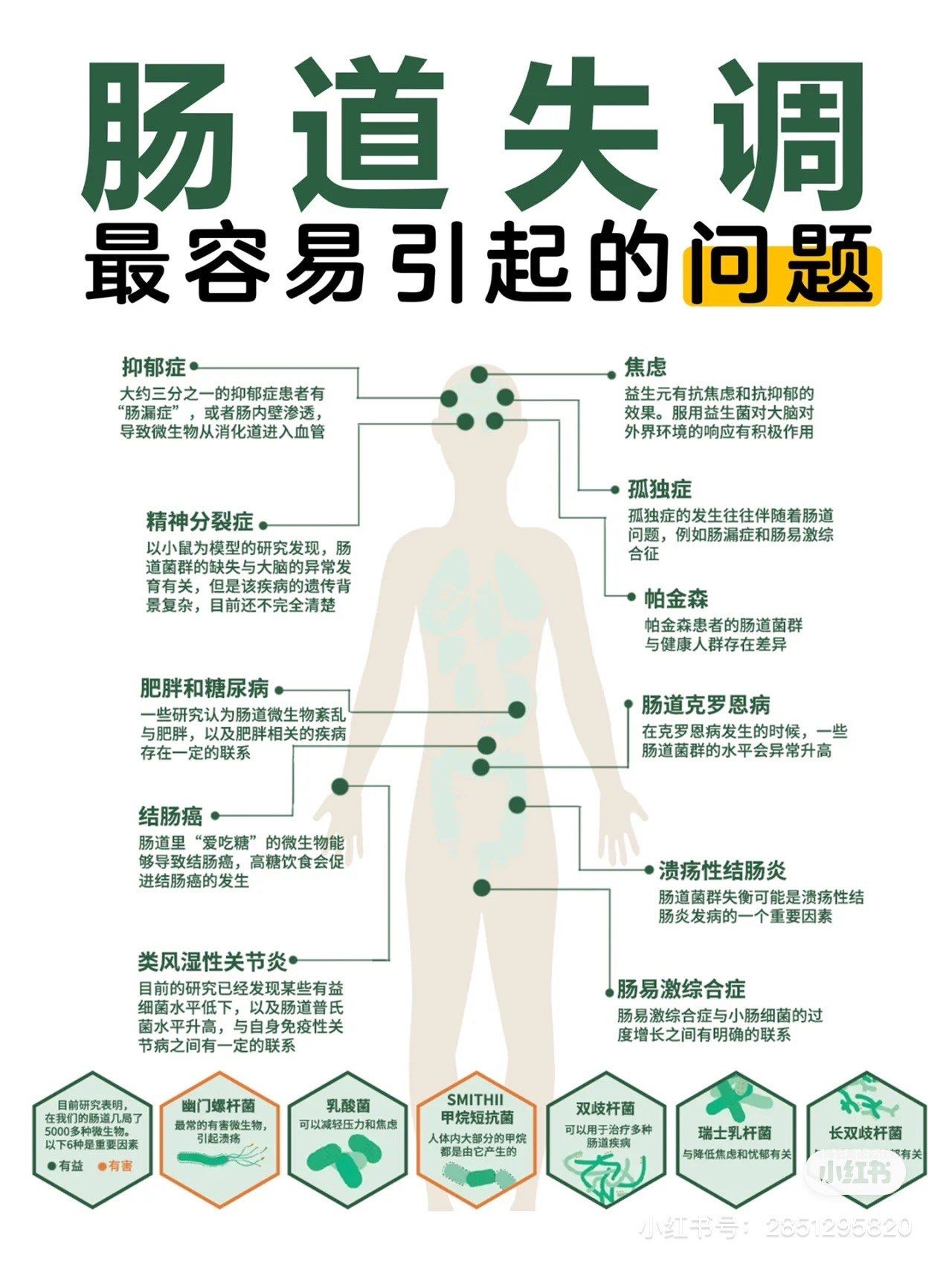 **肠道菌群失调引发的健康隐患**
